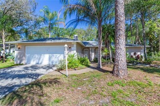 9403 Alvernon Dr, New Port Richey, FL 34655