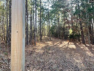 LOT 2 Houston Rd, Prosperity, SC 29127