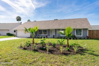719 Raven Rock Ct, Port Orange, FL 32127