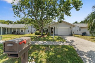 325 Feather Tree Dr, Clearwater, FL 33765
