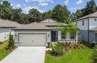 2718 Dolores Home Ave, Valrico, FL 33594