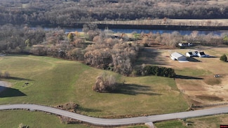 002-11211-000 Trophy Ct, Cotter, AR 72626