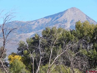 0 Outlook Rd Unit 742111, Hotchkiss, CO 81419