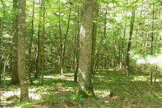 0 Indian Springs Rd NW Unit 307509, Willis, VA 24380
