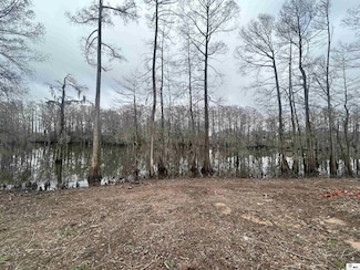 205 Bayou Trace Dr, Monroe, LA 71203