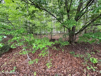 114 & 116 Shore Ln, Fairfield Glade, TN 38558