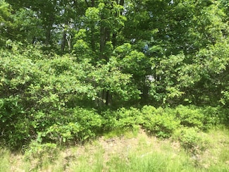 TH Lot 110 Buttonbush Ln, Hazle Township, PA 18202