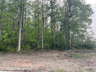 1587 Fisherville Ct, Williams Charter Township, MI 48611