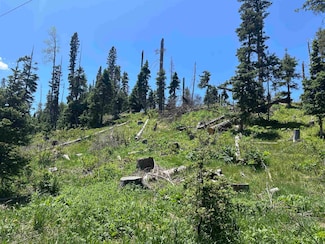 22 Hidden Valley Rd, Red River, NM 87558