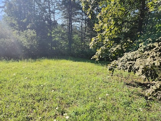 0 Mystic Mountain Blvd Unit 24496664, Delray, WV 26714