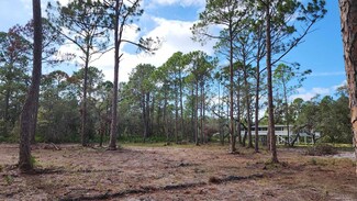 TBD Yates Creek Rd Unit 1, Keaton Beach, FL 32348