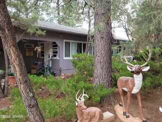 2983 Western Star Dr, Overgaard, AZ 85933