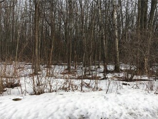 0 Upton Rd Unit S1096042, Victory, NY 13143