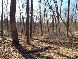 001 Cedar Grove Rd Unit Tract 1, Simpson, IL 62985