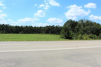 10.7 Acres Highway 98, Lucedale, MS 39452