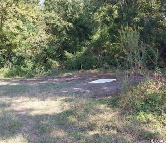 lot 1 Davis Ln, Mullins, SC 29574