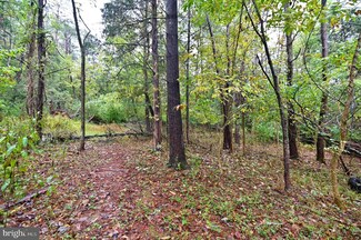 Lot 164 Quail Rd, Basye, VA 22810