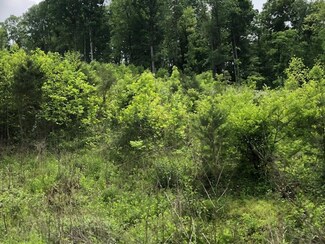 0 Dooley Hollow Rd Unit 1051574, Ewing, VA 24248