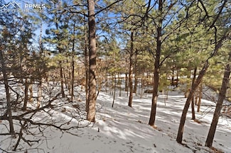 5960 Buttermere Dr, Colorado Springs, CO 80906