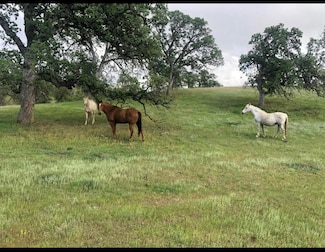 0 Fiddlers Rd, Igo, CA 96047