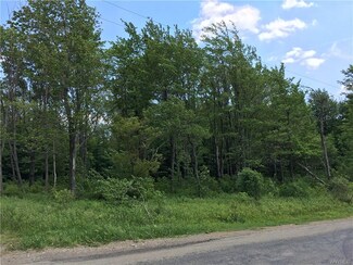 V/L Brown School House Rd, Freedom, NY 14065