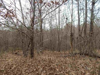 0 Judkins Rd Unit 1323344, Yazoo City, MS 39194