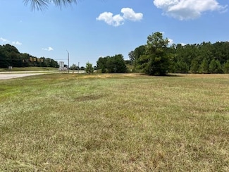 000 E Hart Ave, Opp, AL 36467