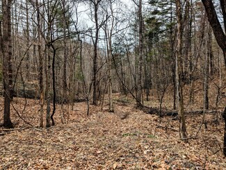 0 Yates Rd Unit 915767, Shawsville, VA 24162