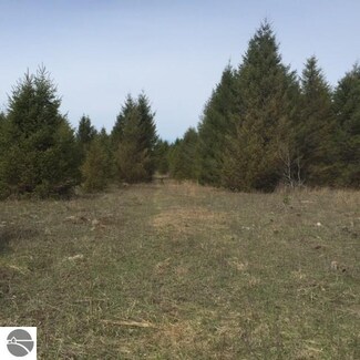 0 Crisp Rd Unit 1800957, Williamsburg, MI 49690