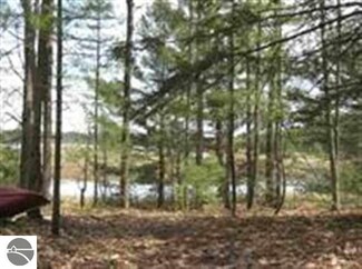 6699 SE M-66, South Boardman, MI 49680