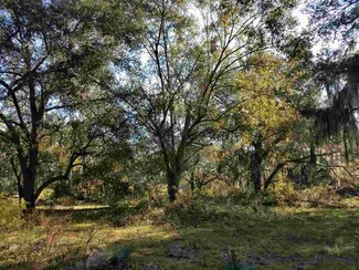 0 NE Hickory Grove Rd Unit 287392, Madison County, FL 32350