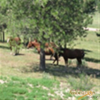 13913 Box Canyon Rd, Keystone, SD 57751
