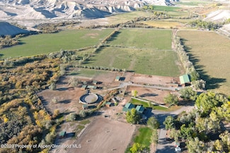 10341 Tongue Creek Rd, Austin, CO 81410