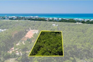 75 Carson Ln, Inlet Beach, FL 32461