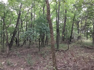 0 Arabian Drive Unit #10 - Lots 426 427 428 Dr Unit 1308220, Garfield, AR 72756