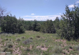 70 County Road 5054, Concho, AZ 85924