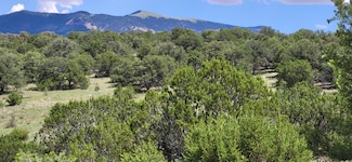 0 38 9 Acres Dark Canyon Unit 1074966, Magdalena, NM 87825