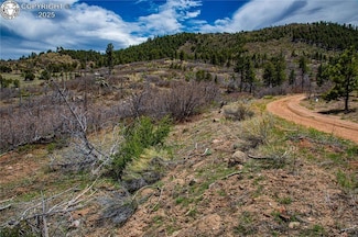 221 Cottonwood Dr, Cotopaxi, CO 81223