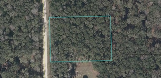 Lot 17 NE 386th Ave, Old Town, FL 32680