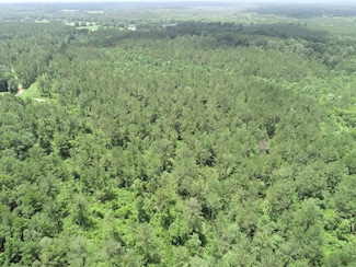0 Walt Culpepper Rd, Laurel, MS 39443