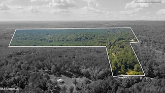 3007 Wilkins Chapel Rd, Holly Springs, MS 38635