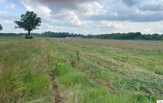 0 Mitchner Rd, Alto, LA 71269