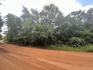 72 Live Oak Dr, Plantersville, TX 77363