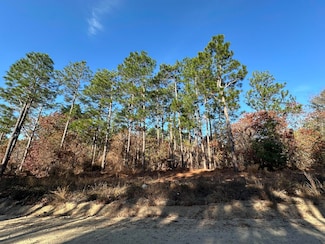 3054 Camp Josey Rd, Blythe, GA 30805