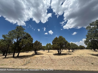Lot 39A-A2 Lincoln Hills Dr, Alto, NM 88312