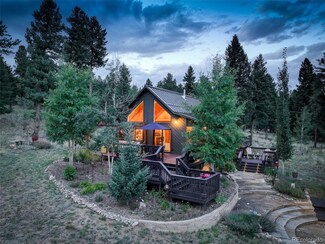 113 Bad Bandit Ct, Bailey, CO 80421