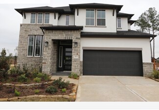 28023 Autumn Falls Ct, Spring, TX 77386