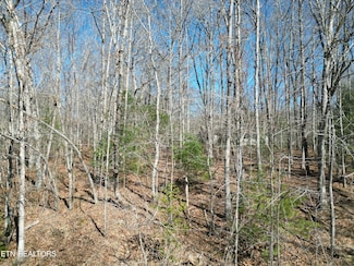 2059 Tecumseh Ln, Crossville, TN 38572