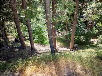 356 California 173, Lake Arrowhead, CA 92352