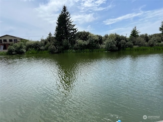 903 Mount Olympus Ave SE, Ocean Shores, WA 98569